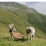 With 2 In Kirchberg * Kirchdorf in Tirol