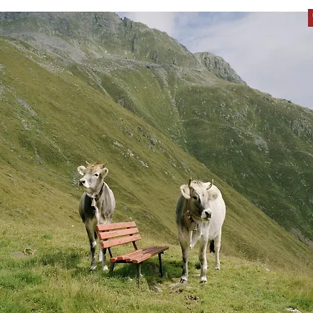 With 2 In Kirchberg *