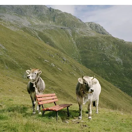 With 2 In Kirchberg * Kirchdorf in Tirol