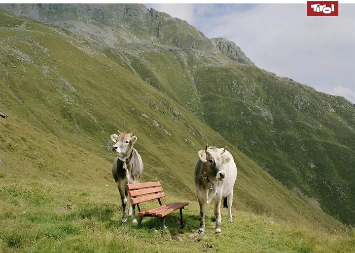 With 2 In Kirchberg *